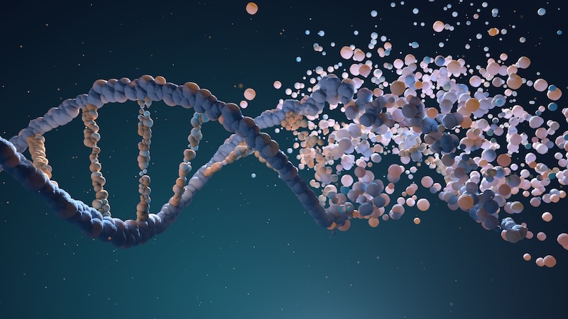 Nucleic_Acids.jpg