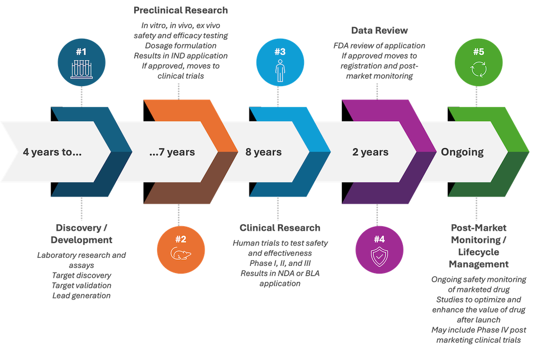 Drug discovery and safety timeline for pre IND application