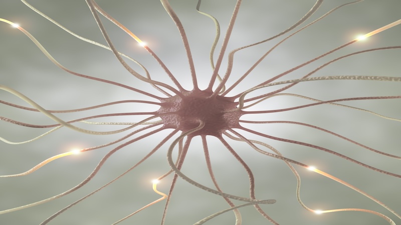 Nociceptive.jpg