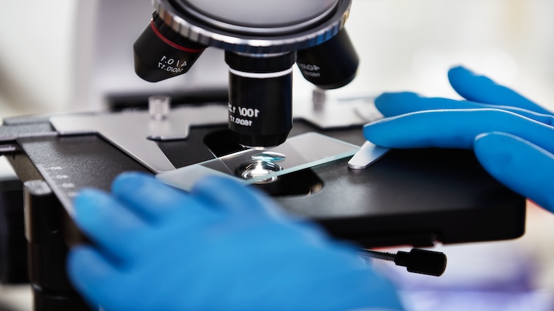DMPK_Bioanalysis.jpg